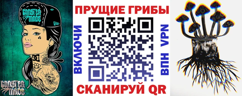Галлюциногенные грибы Psilocybe  Кириши 